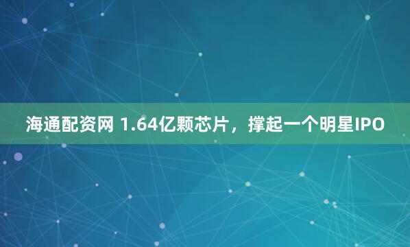 海通配资网 1.64亿颗芯片，撑起一个明星IPO
