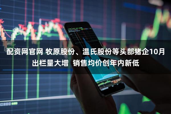 配资网官网 牧原股份、温氏股份等头部猪企10月出栏量大增  销售均价创年内新低